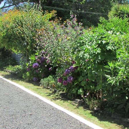 Cozy Haven - Waihi Leilighet Eksteriør bilde